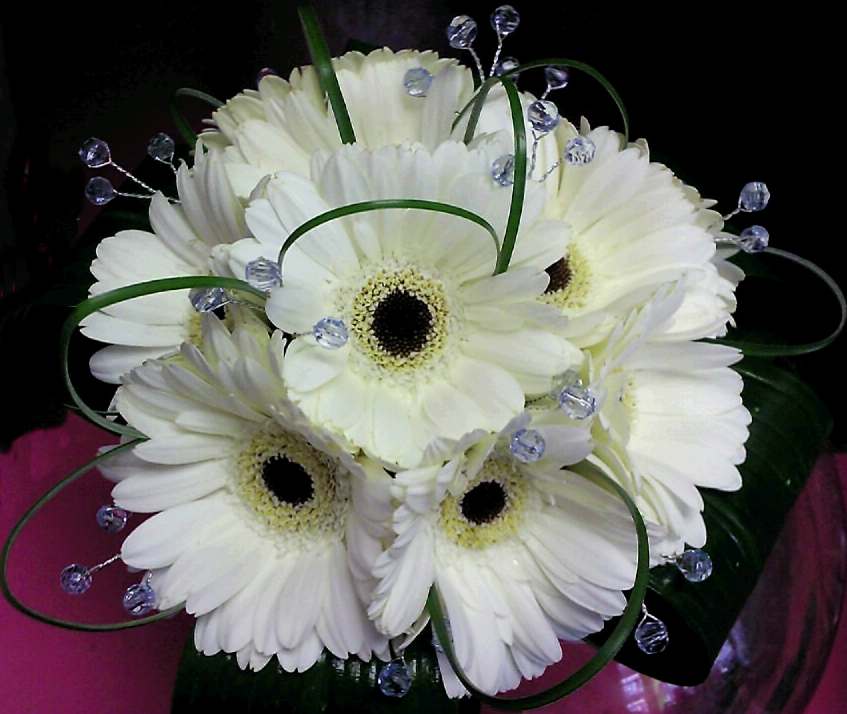 Eileen Jenkins Gerbera Brides Hand-tied